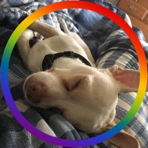 Meet your Posher, Jordan